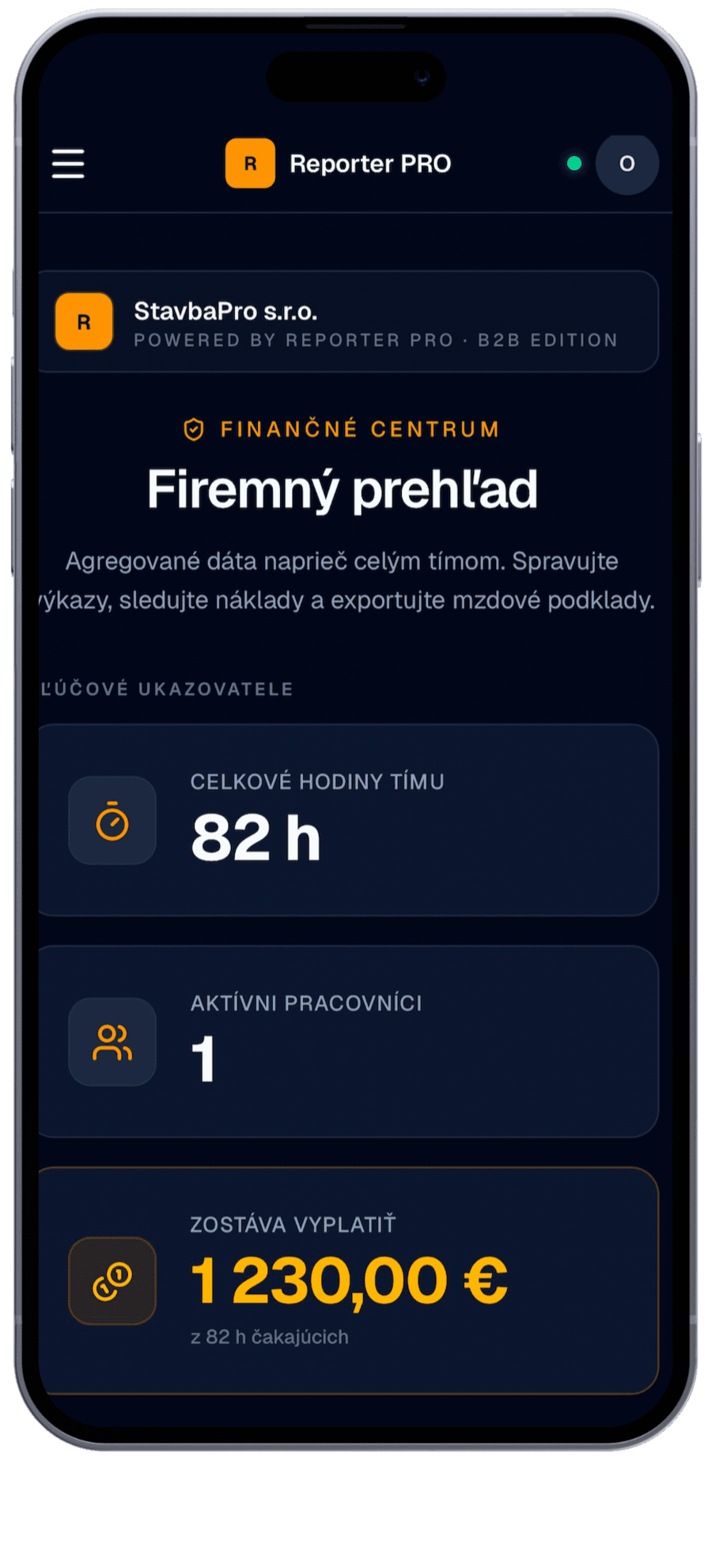 Reporter PRO – Nový výkaz