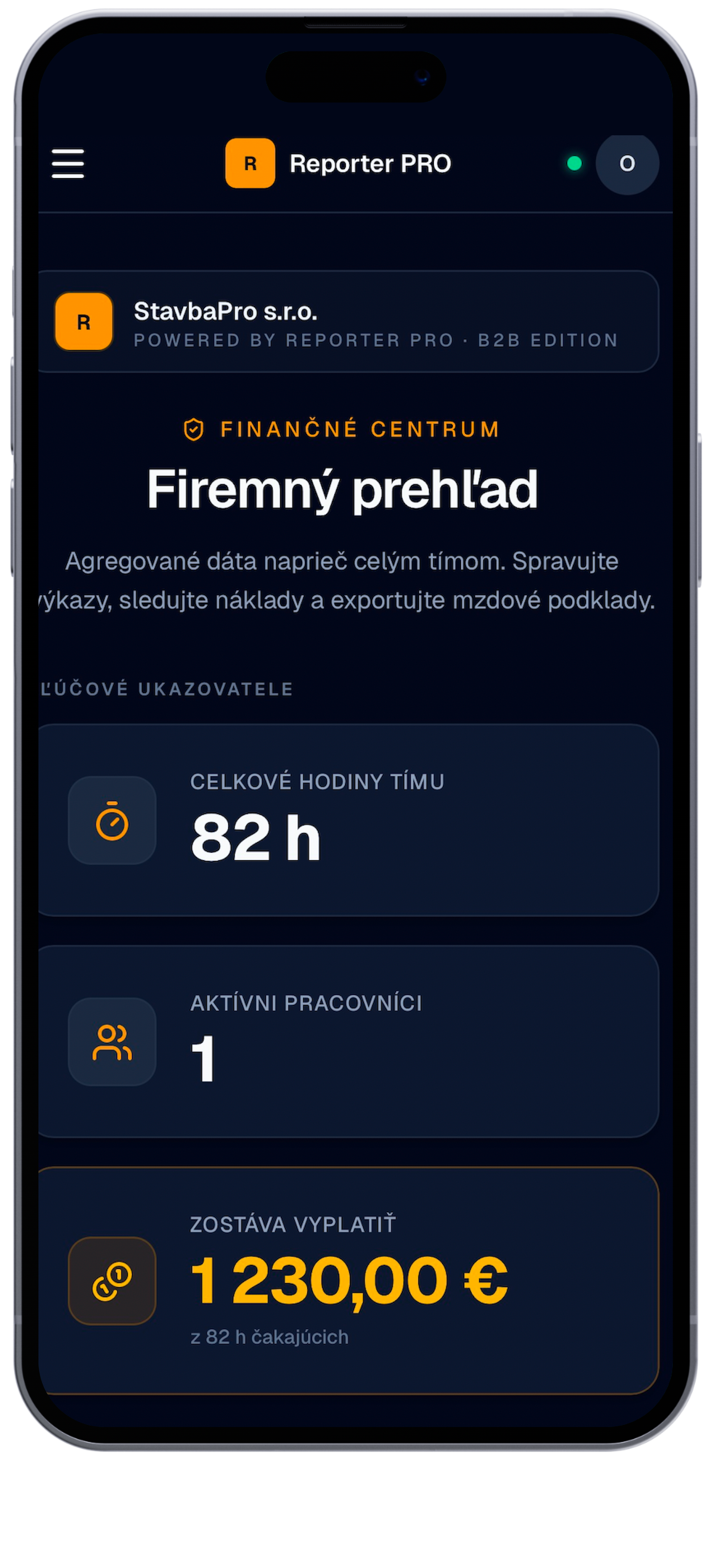 Reporter PRO – Nový výkaz